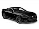 Cervini's C-Series Chin Spoiler (15-17 Mustang GT, EcoBoost, V6)