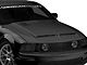 Cervini's Type IV Ram Air Hood with Louvers; Unpainted (05-09 Mustang GT, V6)