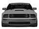 Cervini's Stalker II Hood with Louvers; Unpainted (05-09 Mustang GT, V6)