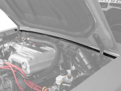OPR Cowl to Hood Weatherstrip Seal (79-93 Mustang)