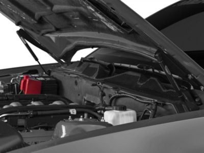 Ford Performance Hood Strut Kit with Ford Performance Logo (05-14 Mustang)