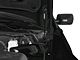 Ford Performance Hood Strut Kit with Ford Performance Logo (05-14 Mustang)