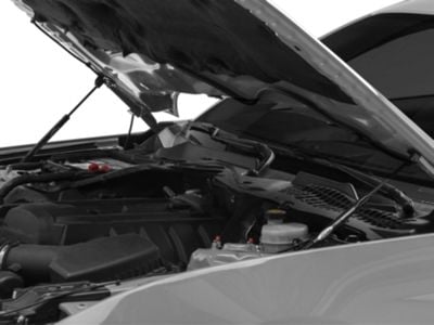 Ford Performance Hood Strut Kit with Ford Performance Logo (15-23 Mustang GT, EcoBoost, V6)