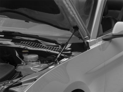 Ford Performance Mustang Hood Strut Kit with Ford Performance Logo M