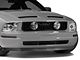 SpeedForm GT Style Pony Delete Grille with Fog Lights (05-09 Mustang V6)