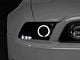 Raxiom LED Halo Projector Headlights; Black Housing; Smoked Lens (13-14 Mustang w/ Factory HID Headlights)