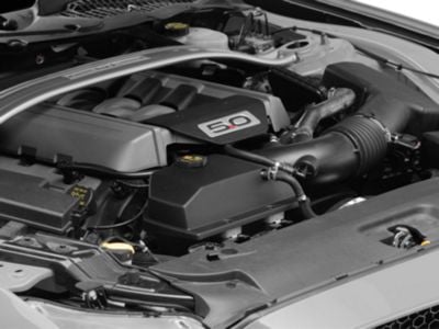 JLT Coolant Tank Cover; Textured Black (15-23 Mustang)