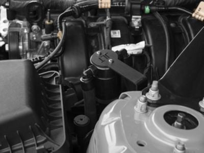 J&L 3.0 Oil Separator; Black Anodized; Driver Side (15-23 Mustang EcoBoost)