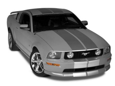 SEC10 Lemans Stripes; Silver; 12-Inch (79-23 Mustang)