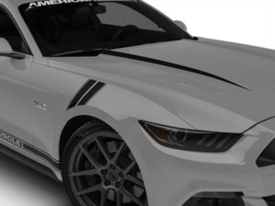 SEC10 Pinstriped Hash Marks; Matte Black (15-23 Mustang)