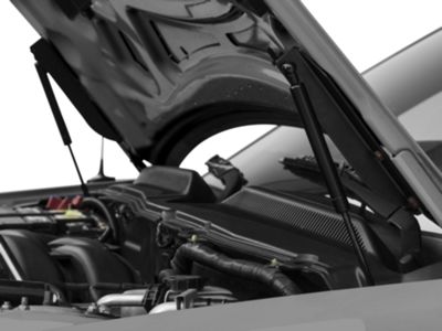MMD Mustang Bolt On Hood Strut Kit; Black 41282 (05-09 Mustang) - Free