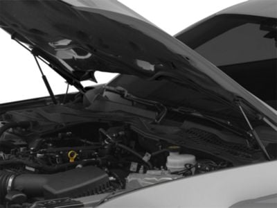 MMD Bolt On Hood Strut Kit; Black (15-23 Mustang GT, EcoBoost, V6)