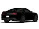 MP Concepts Rear Diffuser (15-17 Mustang GT Premium, EcoBoost Premium)