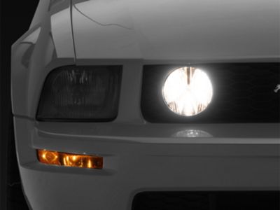CAPA Replacement Fog Light; Passenger Side (05-09 Mustang GT)