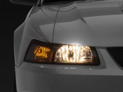OE Style Headlights; Black Housing; Clear Lens (99-04 Mustang)