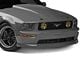 SpeedForm Chin Spoiler; Pre-Painted (05-09 Mustang GT)