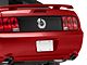 Rear Black Out Panel; Smoked (05-09 Mustang)