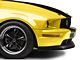 CDC Classic Chin Spoiler; Unpainted (05-09 Mustang GT)