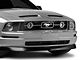 SEC10 Grille Pillar Blackout; Matte Black (05-09 Mustang V6)