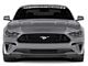 RTR Chin Spoiler (18-23 Mustang GT, EcoBoost)