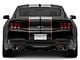 SEC10 Striped Full Length Stripes; Carbon Fiber/Red; 10-Inch (2024 Mustang)