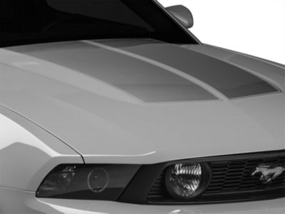 SEC10 Mustang Dual Hood Stripes; Silver 26293 (10-12 Mustang