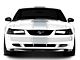 SEC10 Super Snake Style Stripes; Silver (94-04 Mustang)