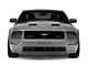 Raxiom Axial Series CCFL Halo Projector Headlights; Black Housing; Smoked Lens (05-09 Mustang w/ Factory Halogen Headlights, Excluding GT500)