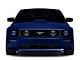 SEC10 Turn Signal Light Tint; Smoked (05-09 Mustang GT, V6)