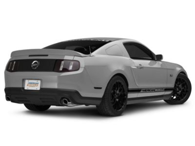 SEC10 Light Tint; Smoked (10-12 All)