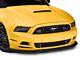 Street Scene Gen 1 Front Splitter (13-14 Mustang GT, V6)