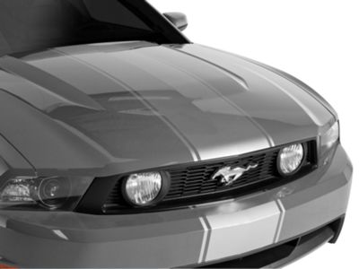 SEC10 Super Snake Style Stripes; Silver (79-23 Mustang)