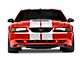 SEC10 GT500 Style Stripes; White; 10-Inch (94-04 Mustang)