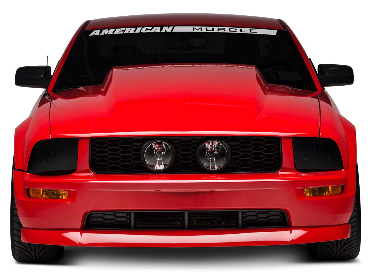 Mustang Hoods 2005-2009
