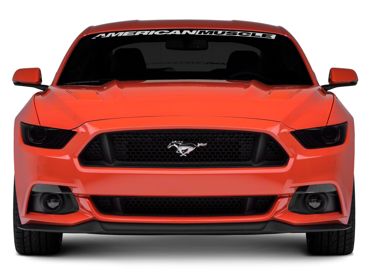 Mustang Open Box Exterior Parts