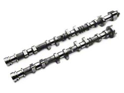 Camshafts<br />('15-'23 Mustang)