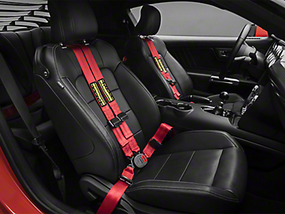 Mustang Seat Belts & Harnesses 2015-2023