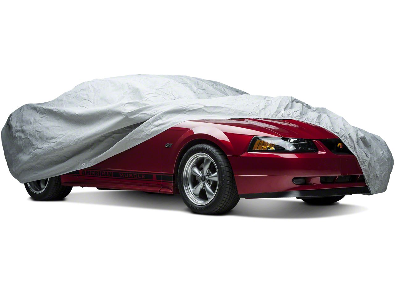 Mustang Paint Protection, Bras & Car Covers 1999-2004