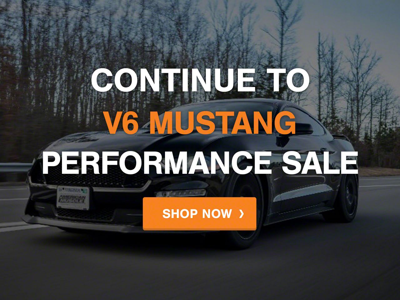 Mustang 2005-2009 Black Friday: Performance V6
